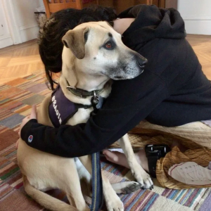 Boy hugging dog