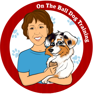 On The Ball Dog Training 