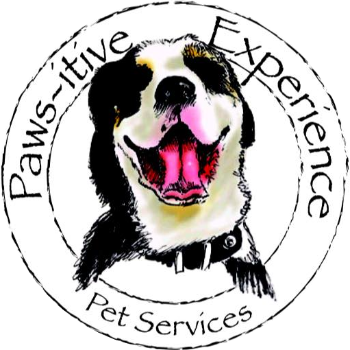 Paws-itive Pet Experience