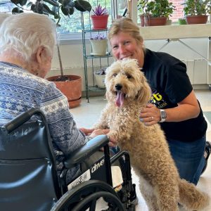 Creature Comfort Veterans Homes Service